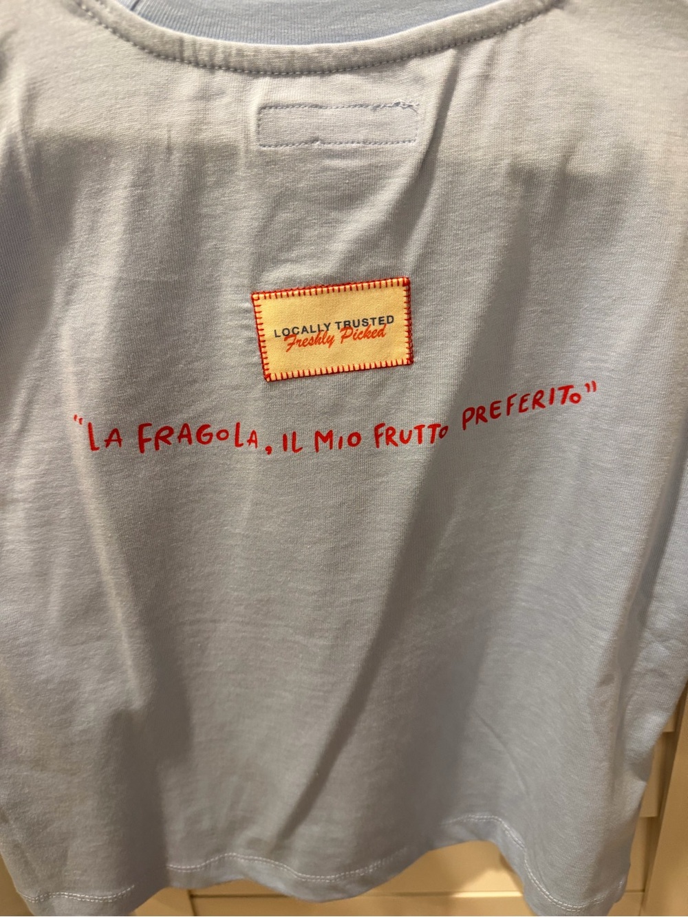 Zara Girls NWOT Light Blue Tee with Red Strawberry Appliqué - Picture 2 of 3